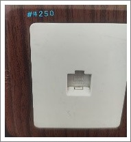 1GANG COMPUTER OUTLE TRJ45 - WOODFRAM - 1GANG 8CORE