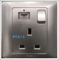 1GSOCKET SWITCH WITH USB - SILVER