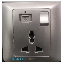 1G2 & 3PIN SOCKET SWITCH+USB - SILVER