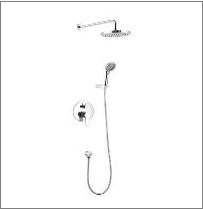 Concealed Shower (2 Functions)